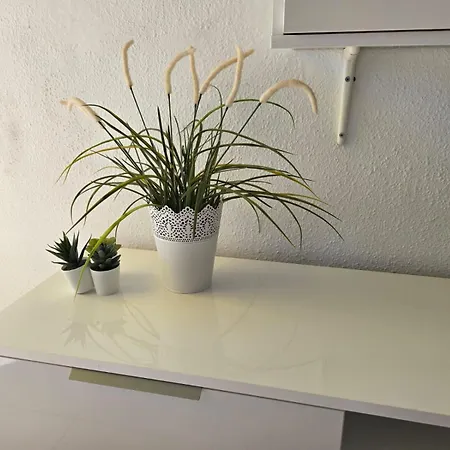 Garajonay Atico Costa Adeje & Jacuzzi& Barbacoa Gran Terraza Apartment Playa Feñabe