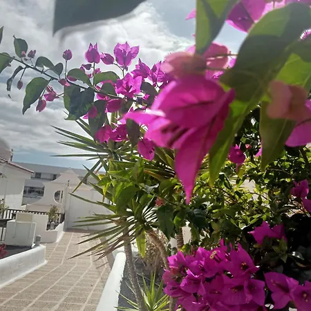 Penthouse Sea View Jacuzzy Terrace & Pool
