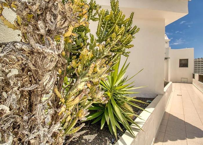 Garajonay Atico Costa Adeje&jacuzzi& Barbacoa Gran Terraza Playa Feñabe