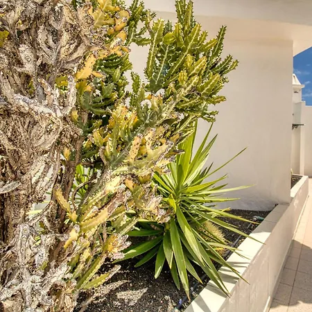 Garajonay Atico Costa Adeje & Jacuzzi& Barbacoa Gran Terraza Плайя-Фаньябе